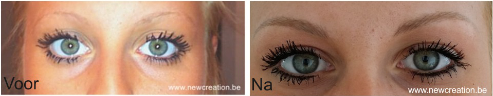 permanente make up nano microblading wenkbrauwen voor en na